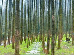 -山王坪喀斯特国家生态公园