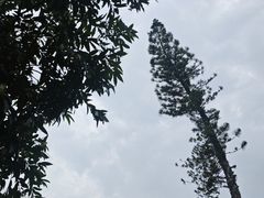 -中山公园
