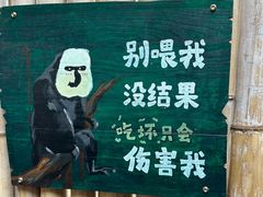 -ZOO COFFEE动物园咖啡(红山森林动物园店)