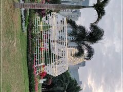 -莲花山公园