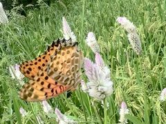 -川流不息·地道川菜·小龙虾(松东路店)