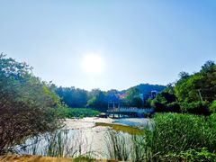 -青龙山国家森林公园