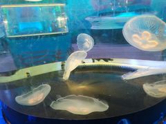 -横店影视城梦幻谷园区