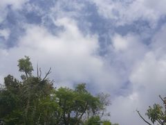 -南宁南湖公园