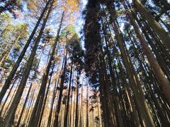 -山王坪喀斯特国家生态公园