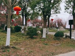 -上海海湾国家森林公园