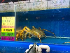 -黄寺蒸汽海鲜(黄寺大街店)
