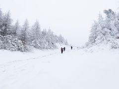 -武陵山森林公园