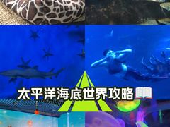 -太平洋海底世界