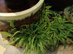 -湘当爱·鲜煮现炒(松岗立业路店)