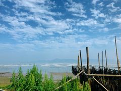 -北岐滩涂