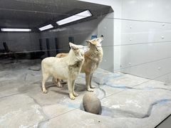 -大连圣亚海洋世界