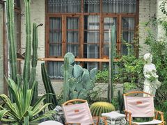 -Jo's Garden