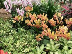 -北京植物园-展览温室