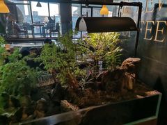 -ELEVEN COFFEE(哈西万达广场店)