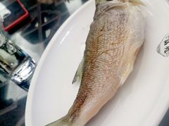 -吴记富苑(朝阳店)