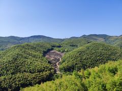 -宁波浙东大竹海景区