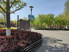 -大兴滨河森林公园