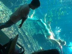-海棠湾洲际-涛·海底餐厅·美人鱼·自助餐·海底隧道