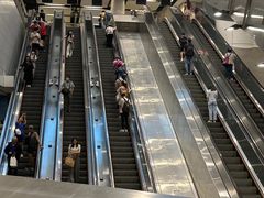 -香港港丽酒店