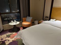 -水邑嘉年华大酒店(鄄城店)