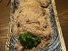 -鸟屯(三里屯店)