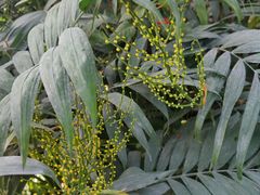 -国家植物园南园