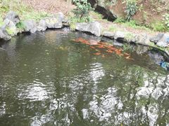 -龙游石窟