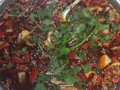 特色肥肠鱼花鲢梭边鱼-韩妹鱼庄·泸定老字号(泸定店)