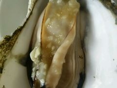 -蚝专家(北滘店)