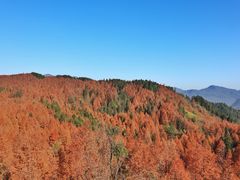 -山王坪喀斯特国家生态公园