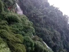 -竹野·上|老字号全竹宴