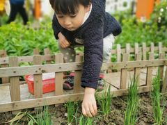 -东方剑桥幼儿园