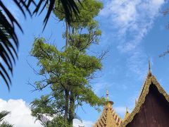 -西双版纳总佛寺