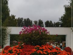-燕郊植物园