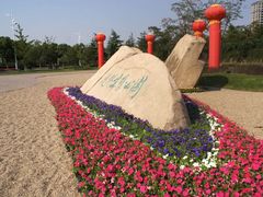 -暨阳湖生态园