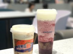 -森茶(湛江万达店)