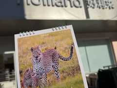 -好利来(革新店)