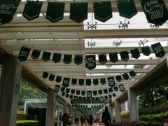 -香港大学