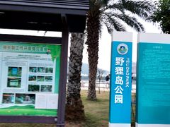 -野狸岛