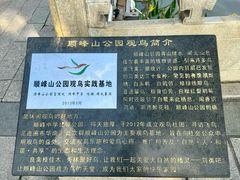 -顺峰山公园