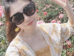 -亚龙湾国际玫瑰谷