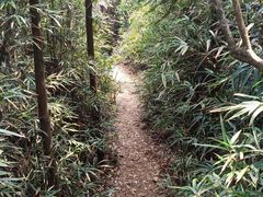 -大罗山风景区