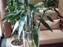 -家富足道·SPA·影院式(解放碑碑中心店)