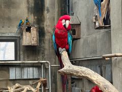 -大连森林动物园