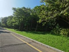 -福田红树林生态公园