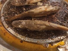-石记东北风味烤肉(系马桩第二分店)