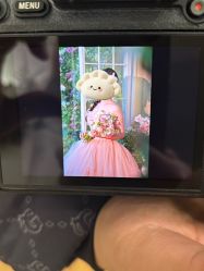 -金夫人婚纱摄影(总店)