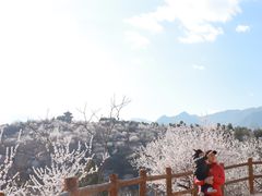 -白水寺森林公园