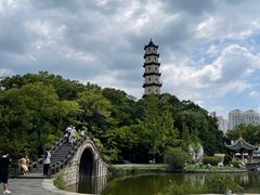 -江心屿景区
